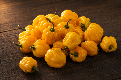 CHILE HABANERO AMARILLO EN POLVO